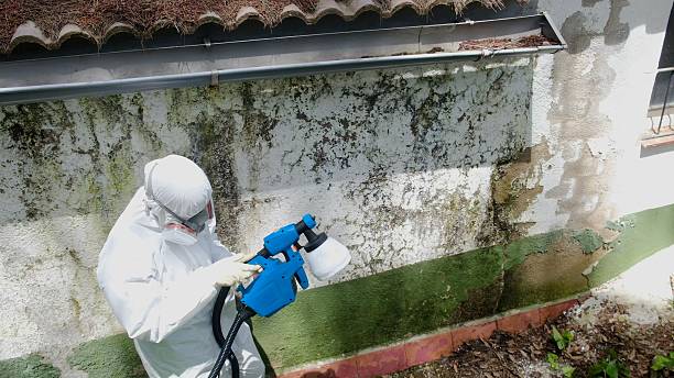 Top rated local Mold Remediation specialists in Pomeroy, WA